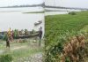 তিস্তার পানি বৃদ্ধিতে কাউনিয়ায় তলিয়ে গেছে বাদাম চাষিদের সোনালী স্বপ্ন