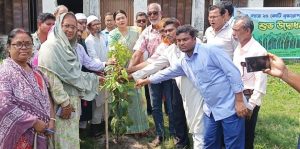 কাউনিয়ায় বৃক্ষরোপণ কর্মসূচির উদ্বোধন