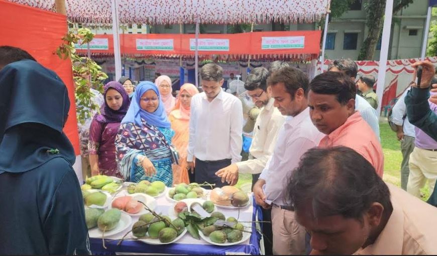 পঞ্চগড়ে তিন দিনব্যাপী জাতীয় ফল মেলা উদ্বোধন