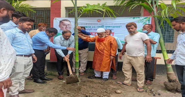 পঞ্চগড় জেলা পরিষদ চত্বরে বৃক্ষরোপন