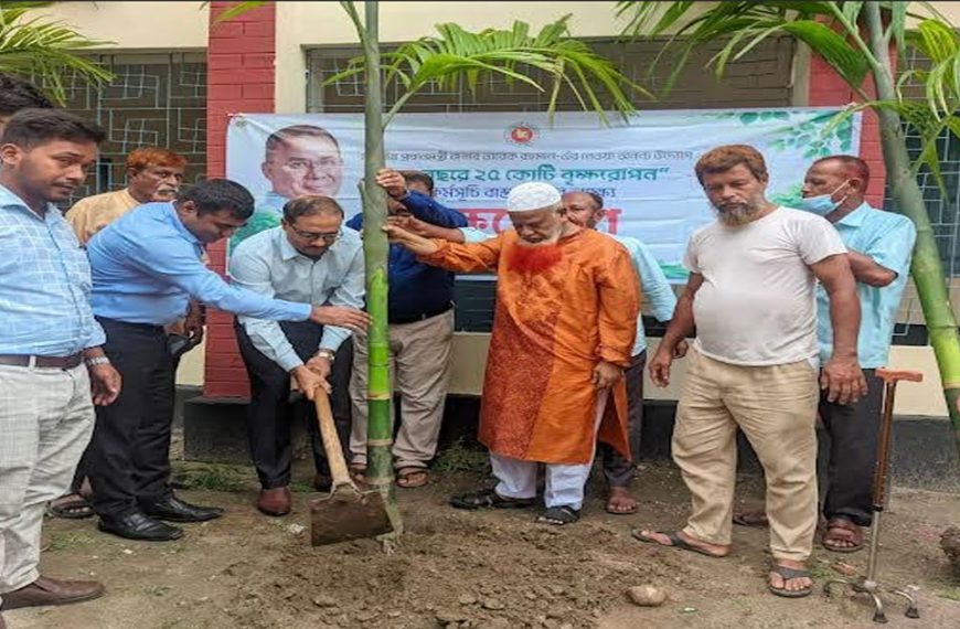 পঞ্চগড় জেলা পরিষদ চত্বরে বৃক্ষরোপন