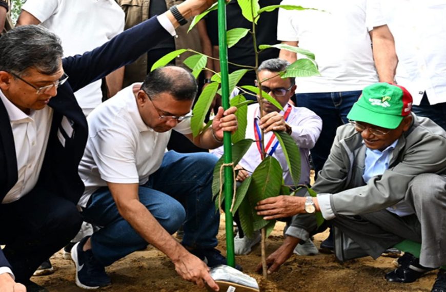 দিনব্যাপী ২৫ কোটি বৃক্ষরোপণ কর্মসূচির উদ্বোধন…