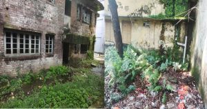 মশার অভয়ারণ্যে পরিণত হচ্ছে কাউনিয়া উপজেলা ক্যাম্পাস!