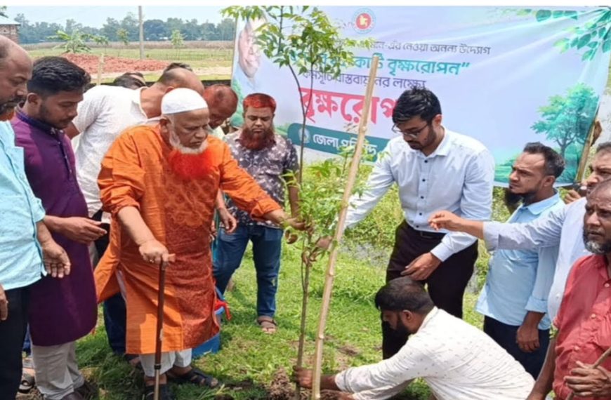 পঞ্চগড় জেলা পরিষদের উদ্যোগে বৃক্ষরোপন কর্মসূচির উদ্বোধন