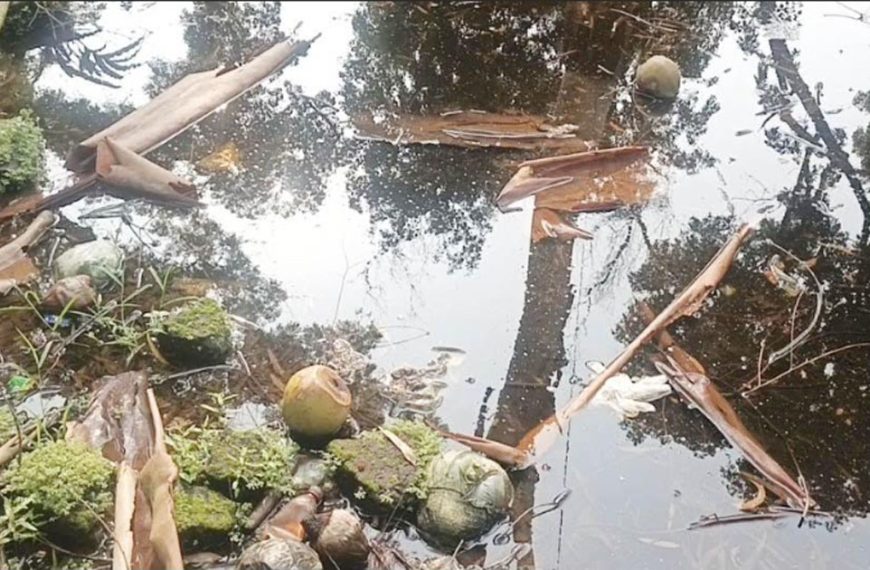 কাউনিয়া হাসপাতালে জমে থাকা পানিতে মশার বংশবিস্তারের শঙ্কা