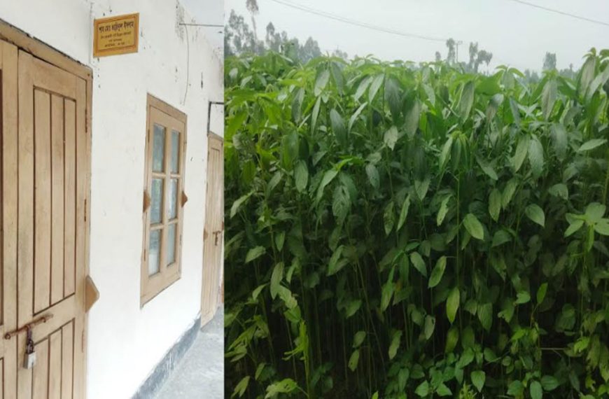 প্রণোদনা আছে, নেই কার্যকর তদারকি কাউনিয়ায়…