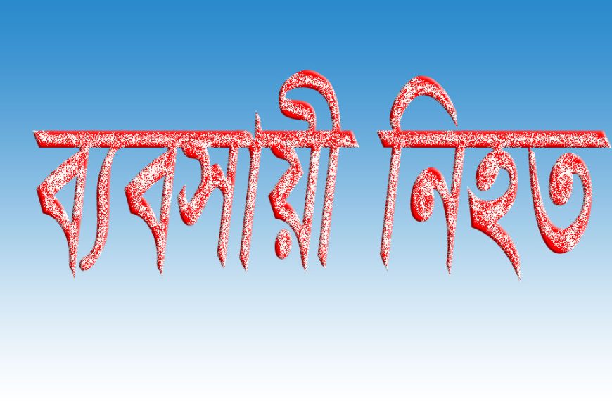 রাজশাহীর মোহনপুরে ইটের আঘাতে পশুখাদ্য ব্যবসায়ী নিহত