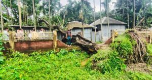 কাউনিয়ায় ঝড়ে বাড়ির ওপর বিশাল জামগাছ; অল্পের জন্য&hellip;