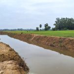 আদমদীঘিতে খাল খননে ফিরল কৃষির সুদিন