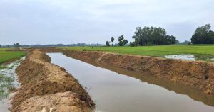 আদমদীঘিতে খাল খননে ফিরল কৃষির সুদিন