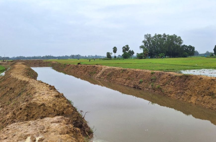 আদমদীঘিতে খাল খননে ফিরল কৃষির সুদিন