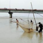 মাছ ধরার উৎসব কাউনিযায় নদী-নালা, খাল-বিলে জেলেদের সঙ্গে নেমেছে শৌখিনরাও