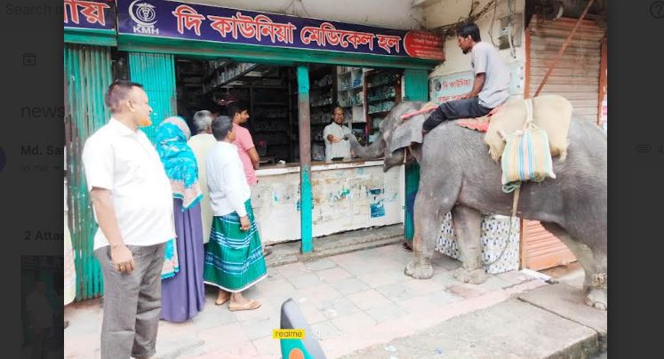 কাউনিয়ায় হাতি দিয়ে চাঁদাবাজি, অতিষ্ঠ ব্যবসায়ী ও পথচারীরা