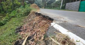 কোটি টাকা ব্যয়ে নির্মাণ, ছয় মাসেই ভাঙন কাউনিয়ার&hellip;