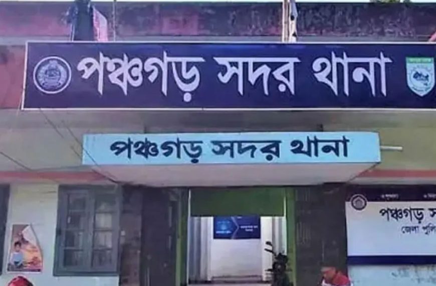 ম্যাজিক চুলায় রান্না করার সময় বিদ্যুৎস্পৃষ্টে গৃহবধূর মৃত্যু