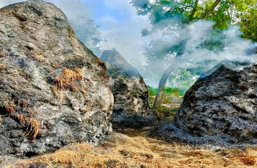 গভীর রাতে দুর্বৃত্তদের আগুন সিংড়ায় স্কুল দপ্তরীর আড়াই লাখ টাকার ৪টি খড়ের পালা পুড়ে ছাই