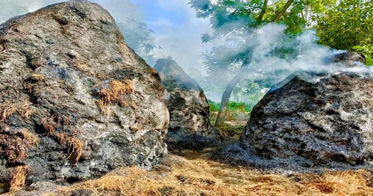 গভীর রাতে দুর্বৃত্তদের আগুন সিংড়ায় স্কুল দপ্তরীর আড়াই লাখ টাকার ৪টি খড়ের পালা পুড়ে ছাই