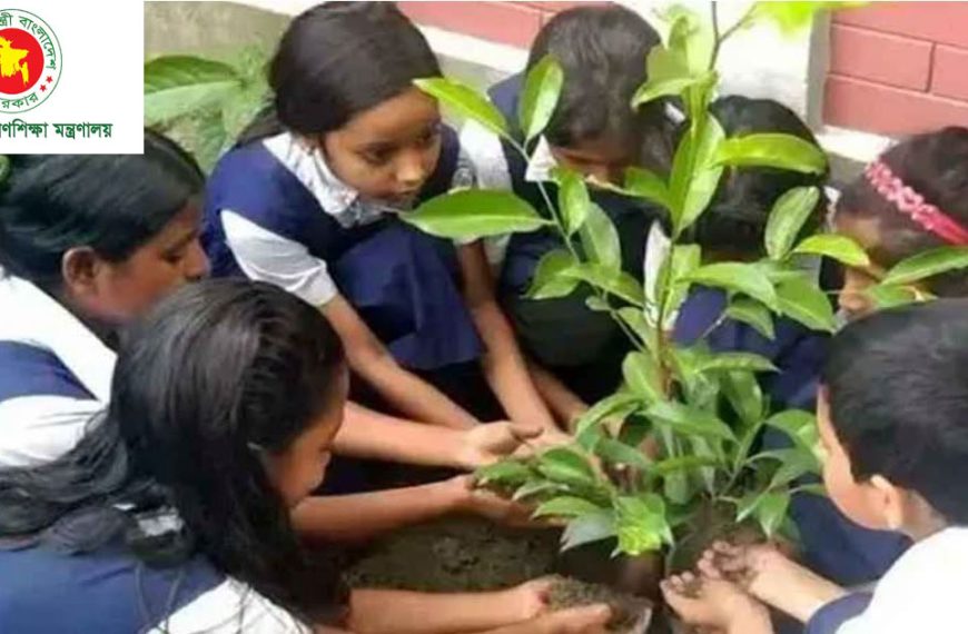 ১৫ জুলাই সব প্রাথমিক বিদ্যালয়ে পাঁচটি করে গাছের চারা রোপণের নির্দেশ