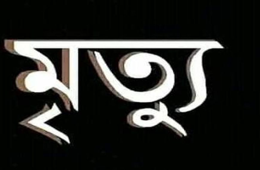 সিংড়ায় মাছ ধরতে গিয়ে বজ্রপাতে যুবকের মৃত্যু