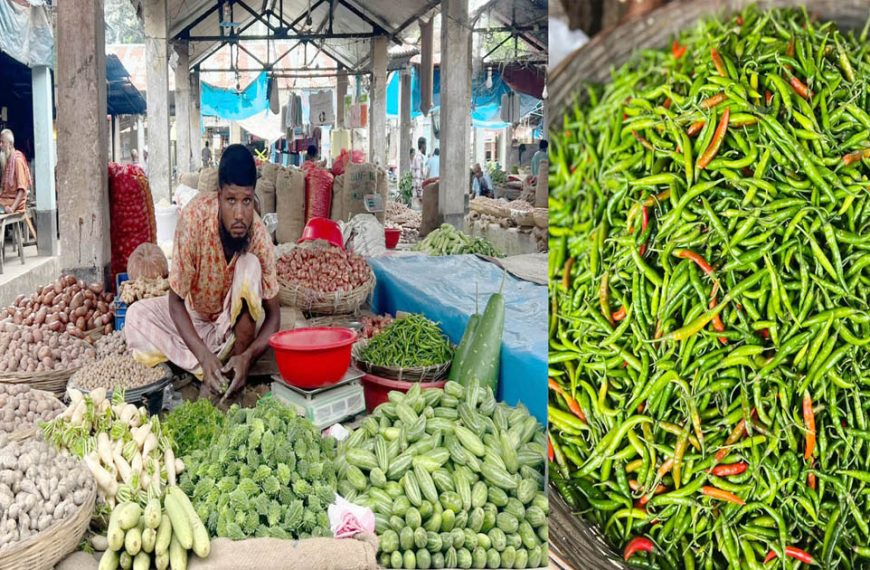 টানাপোড়েনে সংসার নিত্যপণ্যের লাগামহীন মূল্যবৃদ্ধি: কাউনিয়ায় সবজির বাজারে&hellip;