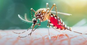 ডেঙ্গু: ২৪ ঘণ্টায় ৫ জনের মৃত্যু, হাসপাতালে ৮৩৯