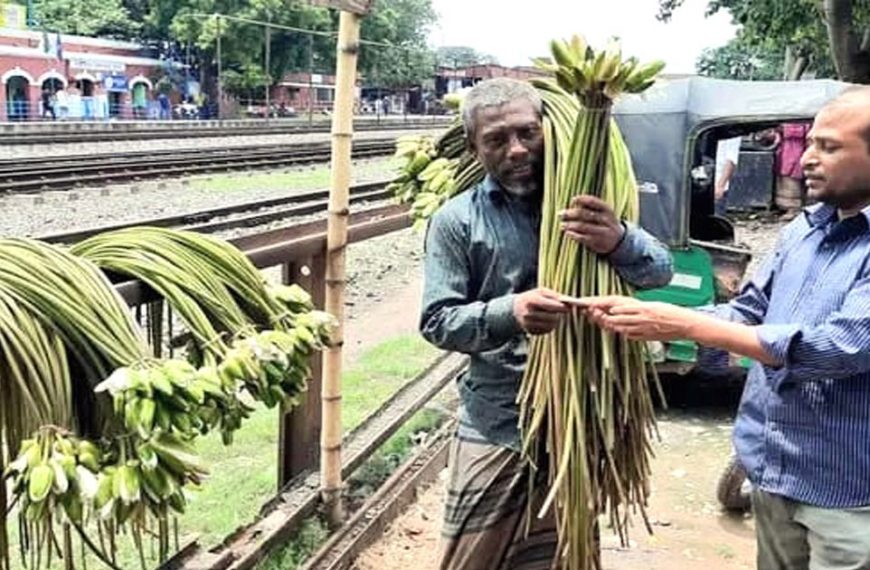 আদমদীঘিতে সড়কে প্রাণ গেল শাপলা বিক্রেতা শহিদুলের