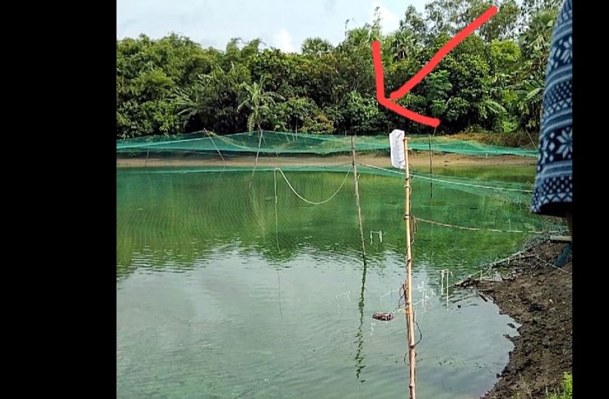 আদমদীঘিতে বিদ্যুৎস্পৃষ্টে একজনের মৃত্যু, আহত ৭ জন