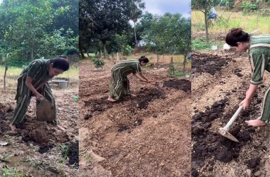 দীর্ঘক্ষণ চালালেন কোদাল, প্রশংসায় ভাসছেন অভিনেত্রী জয়া আহসান
