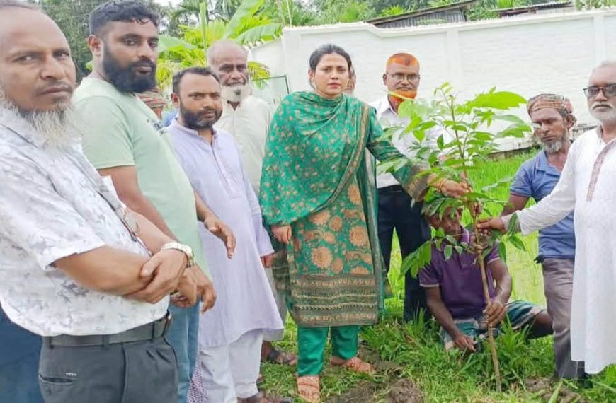 পরিবেশ রক্ষায় কাউনিয়ায় বৃক্ষরোপণ কর্মসূচির যাত্রা…