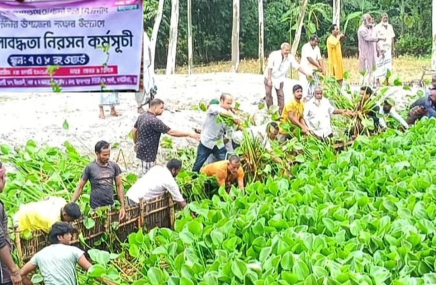 কচুরিপানা অপসারণে উদ্যোগী কাউনিয়া বিএনপি ও অঙ্গসংগঠনের নেতাকর্মীরা, স্বস্তির আশা কৃষকদের