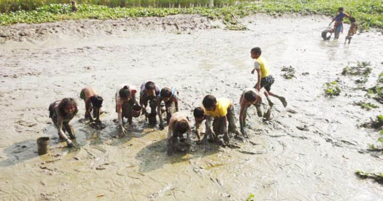 দেশীয় মাছের সংকটে ম্লান কাউনিয়ার মাছ ধরার উৎসব