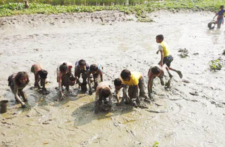 দেশীয় মাছের সংকটে ম্লান কাউনিয়ার মাছ&hellip;
