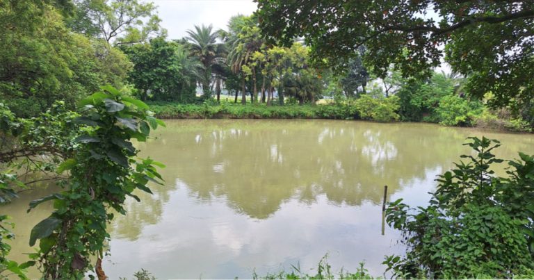 আদমদীঘিতে হাজীর বিরুদ্ধে পুকুর দখলের অভিযোগ