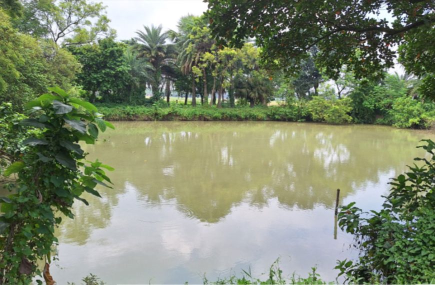 আদমদীঘিতে হাজীর বিরুদ্ধে পুকুর দখলের অভিযোগ