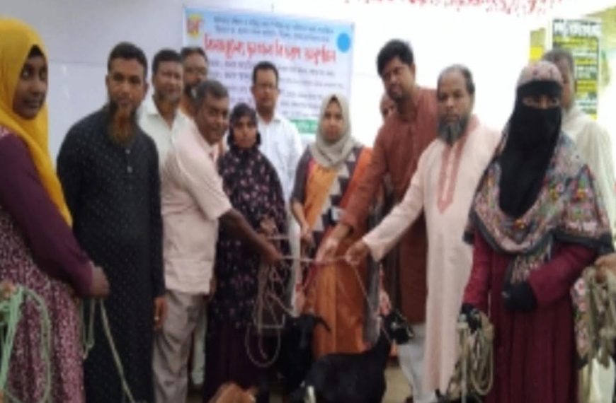 পঞ্চগড়ে ১৭ জন দরিদ্র নারীর মাঝে বিনামুল্যে ৩৪ টি মা ছাগল বিতরণ