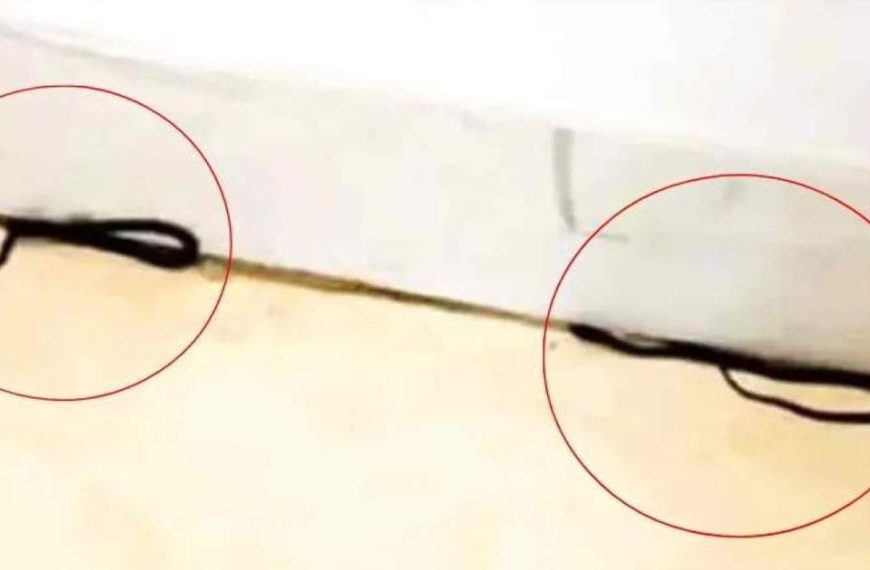 সচিবালয়ের ১৯ তলায় শিক্ষা মন্ত্রণালয়ে তিন…