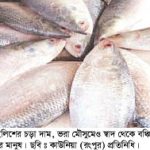 সাধ আছে, সাধ্য নেই কাউনিয়ায় ইলিশের চড়া দামে হতাশ ক্রেতারা