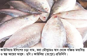 সাধ আছে, সাধ্য নেই কাউনিয়ায় ইলিশের চড়া দামে হতাশ ক্রেতারা