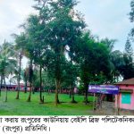 কাউনিয়ার বেইলি ব্রিজ পলিটেকনিককে কারিগরি শিক্ষা বোর্ডের শোকজ