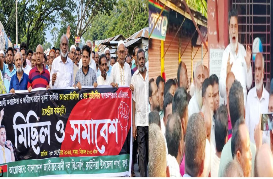 সন্ত্রাস ও নৈরাজ্যের বিরুদ্ধে কাউনিয়ায় বিএনপির প্রতিবাদ সমাবেশ