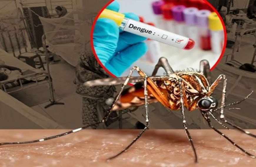 ডেঙ্গুর ছোবল অব্যাহত, আরও ৬ প্রাণহানি