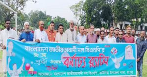 প্রতিষ্ঠাবার্ষিকীতে নেতাকর্মীদের পদচারণায় মুখর কাউনিয়া, বিএনপির র‍্যালি