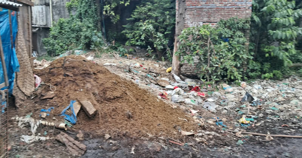সিরাজদিখান বাজার ও থানার সামনে ময়লা-আবর্জনায় ভরা ডোবা, বাড়ছে ডেঙ্গু ও জলাবদ্ধতার শঙ্কা