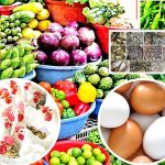 মাছ ও সবজির বাজারে উত্তাপ, বোতলজাত সয়াবিনের সরবরাহ কম