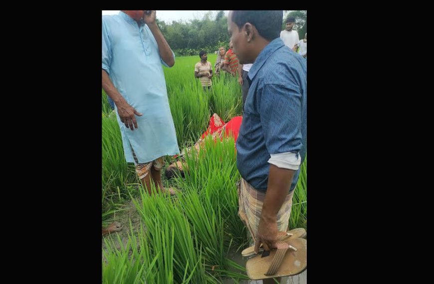 দেবীগঞ্জে ধানক্ষেত থেকে হাছিনা বেগমের মরদেহ&hellip;