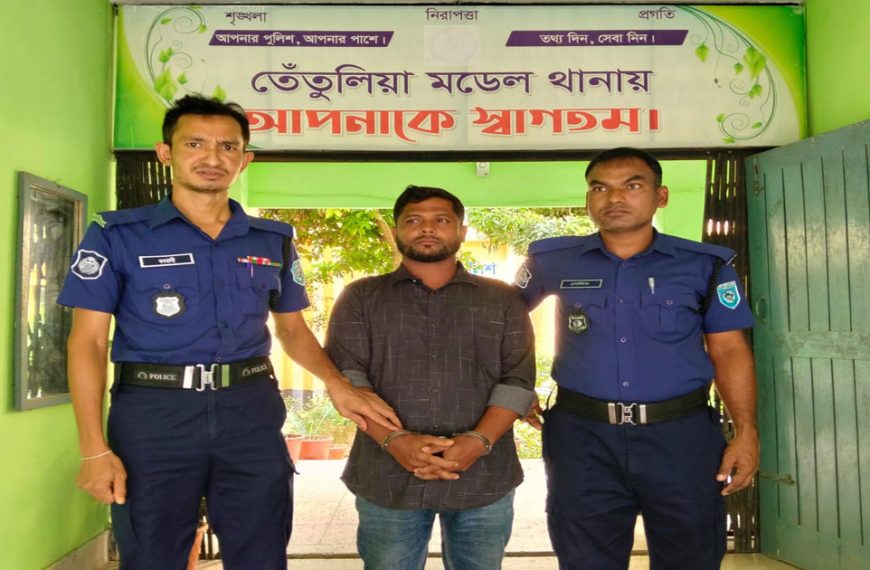 তেঁতুলিয়ায় যুবলীগ নেতা গ্রেপ্তার, আদালতে সোপর্দ