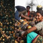অস্কারে যাচ্ছে বাংলাদেশের সিনেমা ‘রইদ’