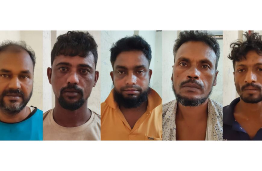 ফেনীতে গরু চোরসহ ১৪ আসামি গ্রেপ্তার