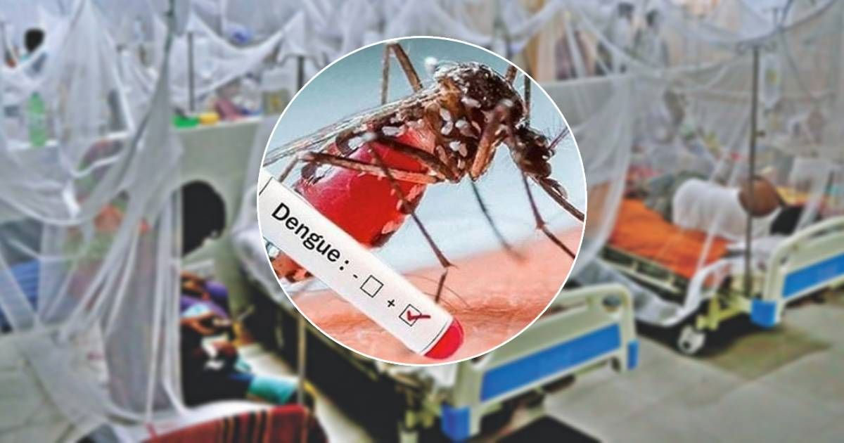 ডেঙ্গুতে ২৪ ঘণ্টায় হাসপাতালে ভর্তির রেকর্ড, প্রাণ গেল ৮ জনের