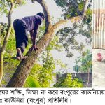 ডালপালা কাটেন কাউনিয়ার ৩৩ বছরের যুবক একরামুল